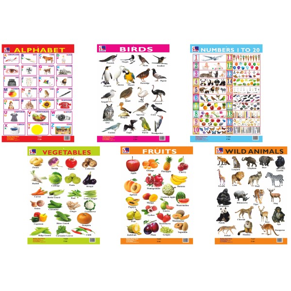 Charts - Educational Hanging Charts - Set Of 6